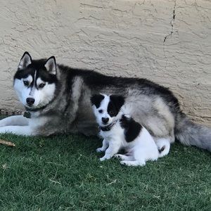 Meet your Posher, Malorie